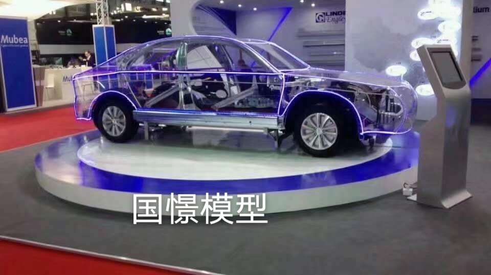 中宁县透明车模型