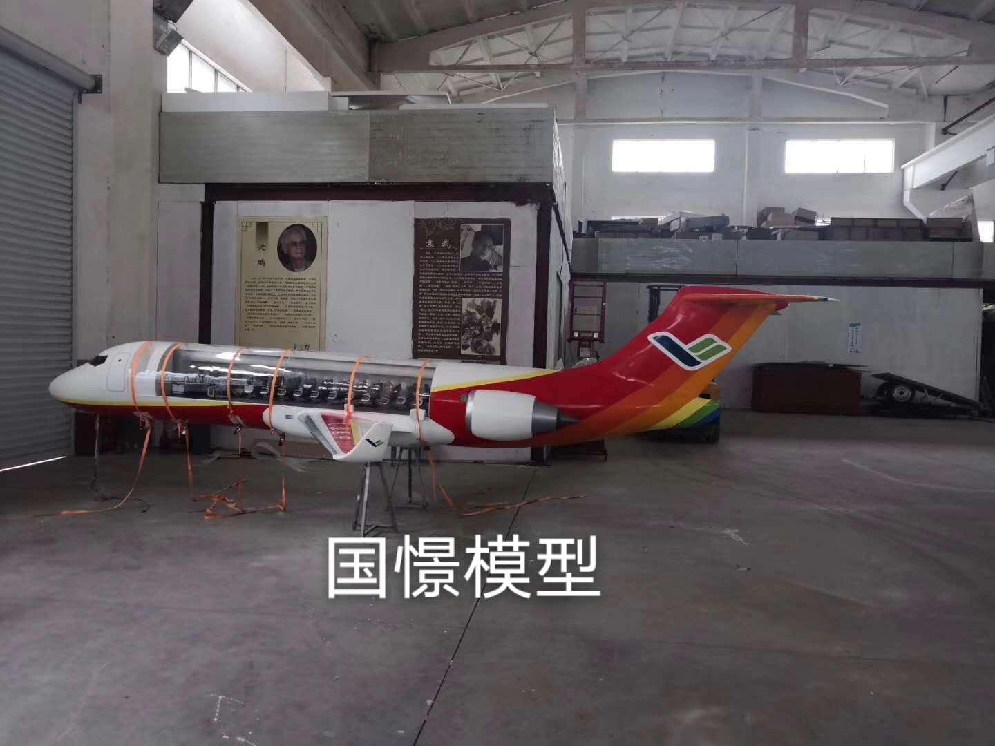 中宁县飞机模型